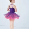 Weissman Speechless -Diaman Dance Wear Shop 13420 grape 3629 43952.1678888035