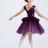 Weissman Introspective 1 Weissman Introspective -Diaman Dance Wear Shop 14661 eggplant 6903 17718.1697693656