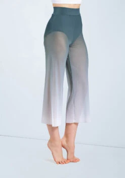 Weissman Ombre Mesh Culotte Pants 9 Weissman Ombre Mesh Culotte Pants -Diaman Dance Wear Shop PL12375 pine 2117 29677.1698450492