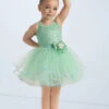 Weissman Dream Big -Diaman Dance Wear Shop wn15172 mint 2085 49642.1694043405