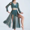 Weissman Phoenix -Diaman Dance Wear Shop wn15694 pine 5325 84054.1694045761